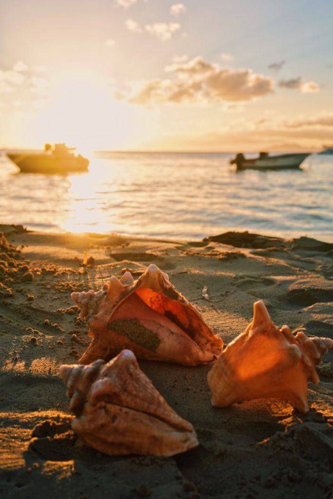 Marie-Galante, la petite Bretagne des Antilles :