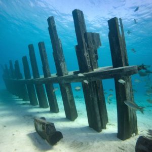 Les trésors marins à explorer autour de Marie-Galante : plongée sous-marine et snorkeling