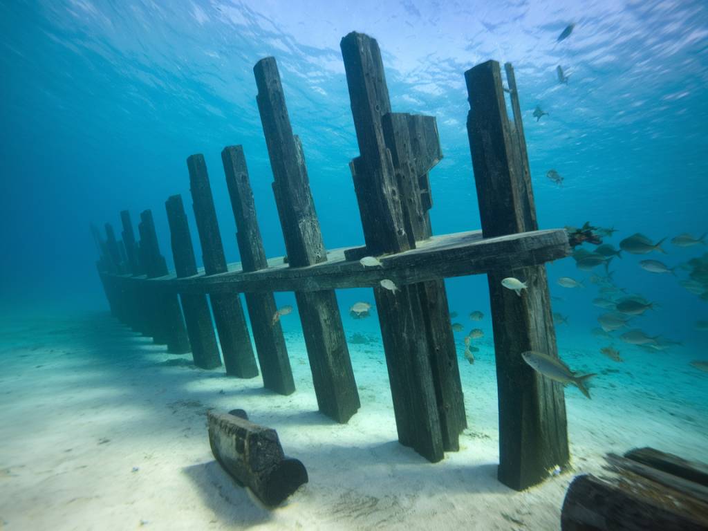 Les trésors marins à explorer autour de Marie-Galante : plongée sous-marine et snorkeling